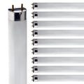 24 Inch T8 Fluorescent Tube Light Bulb 17W 2700K Warm White G13 Bi-Pin Base Pack of 10 W334