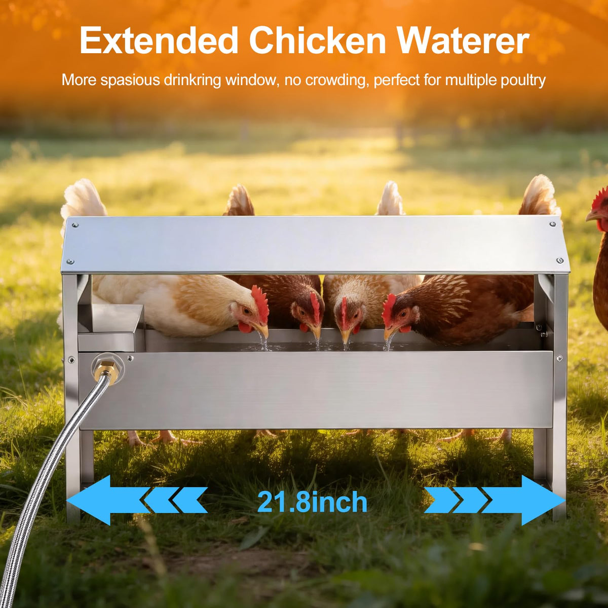 22'' Stainless Steel Automatic Chicken Waterer P925