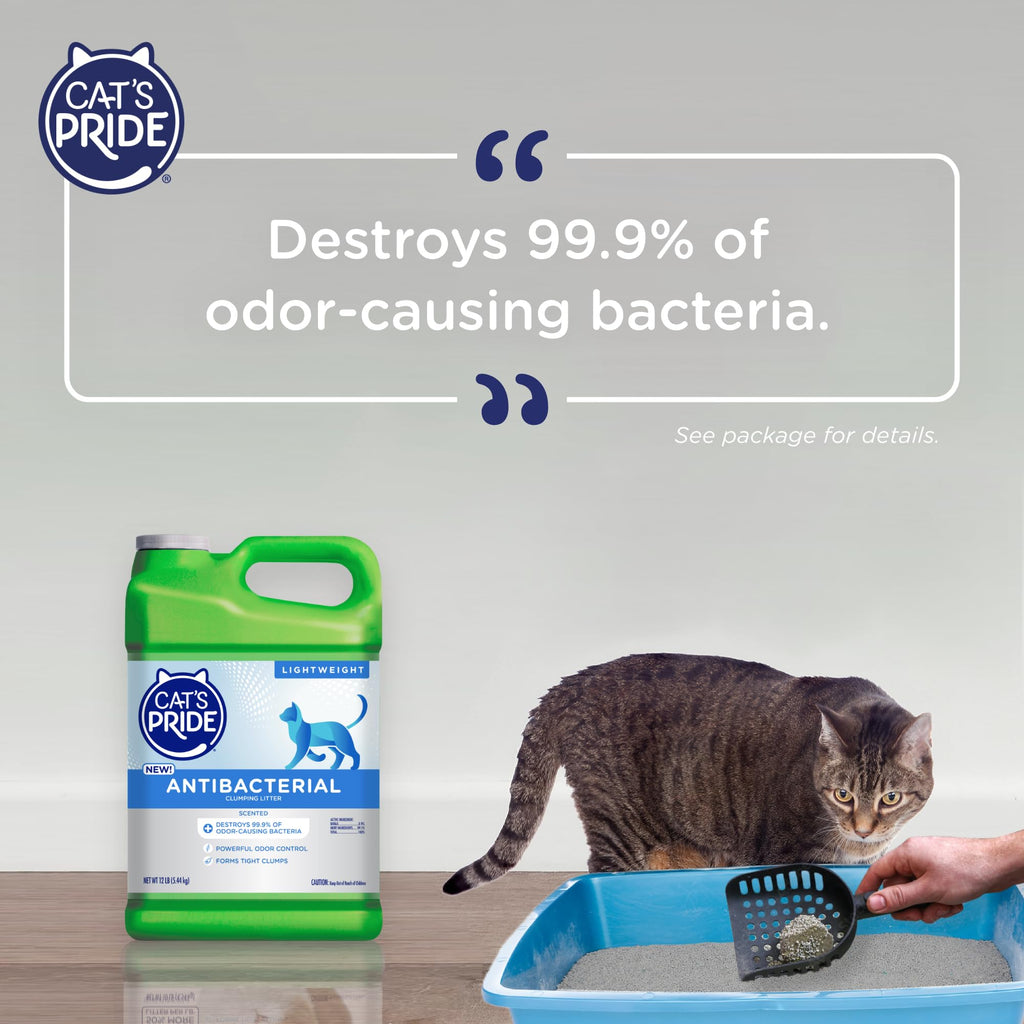 Antibacterial Odor-Eliminating Scented Cat Litter 12lb G480490