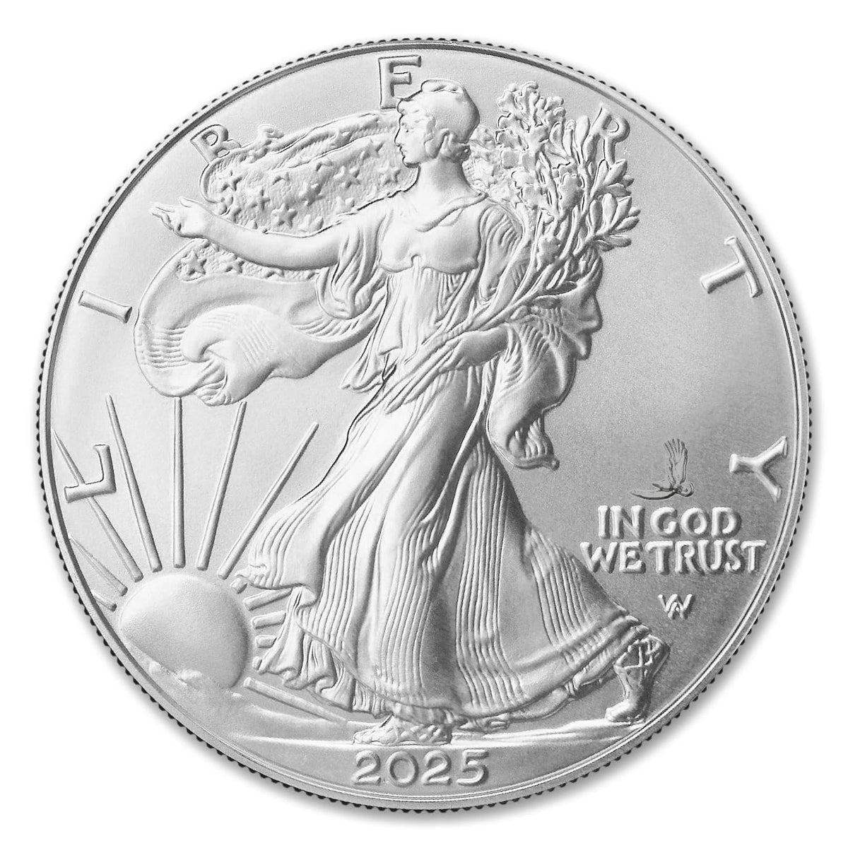 10 1 oz American Silver Eagle Coin A5931