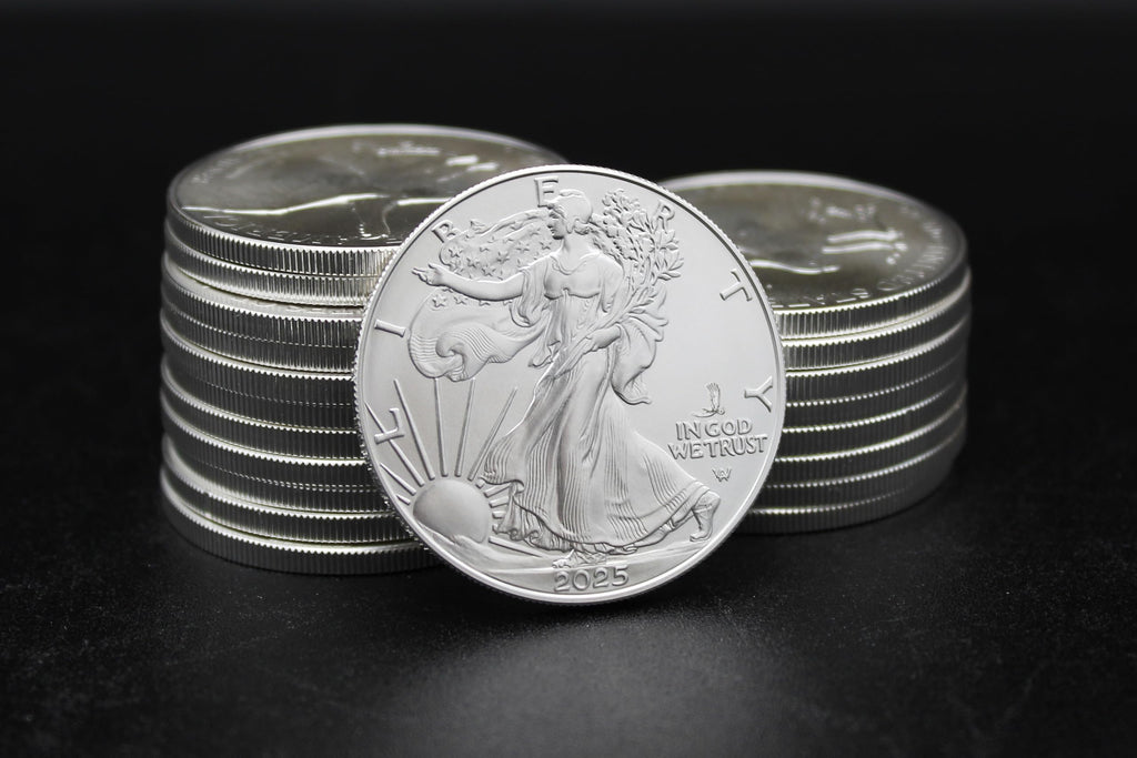 10 1 oz American Silver Eagle Coin A5931
