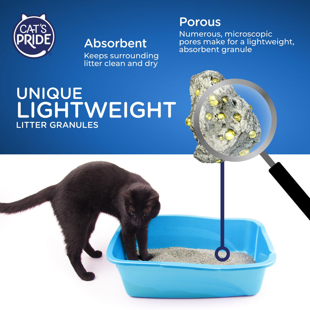 Antibacterial Odor-Eliminating Scented Cat Litter 12lb G480490