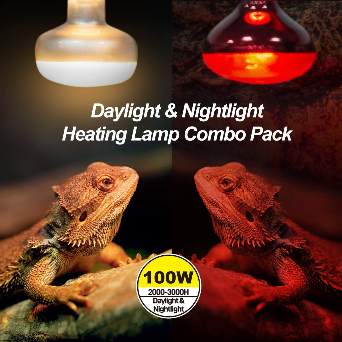 4 Pack Reptile Heat Lamp Day & Night Kit 100W K331