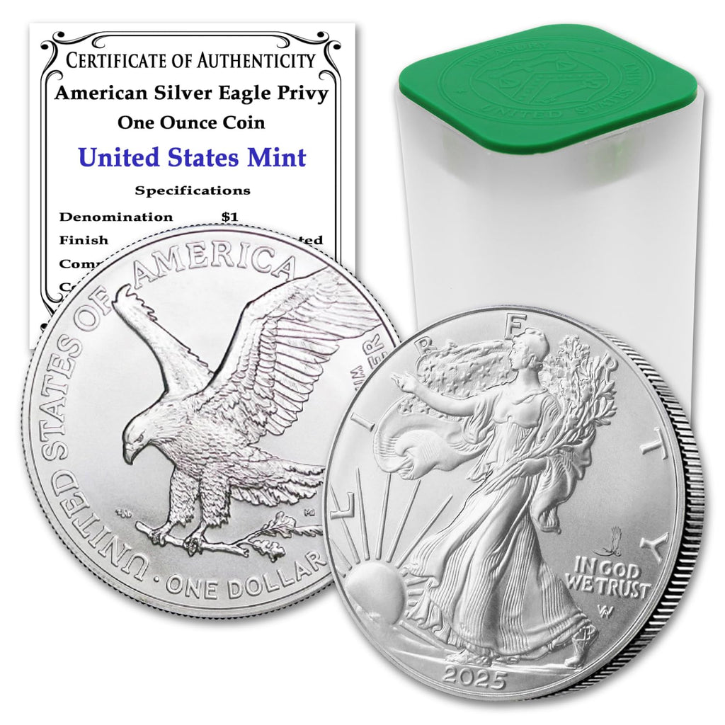 10 1 oz American Silver Eagle Coin A5931