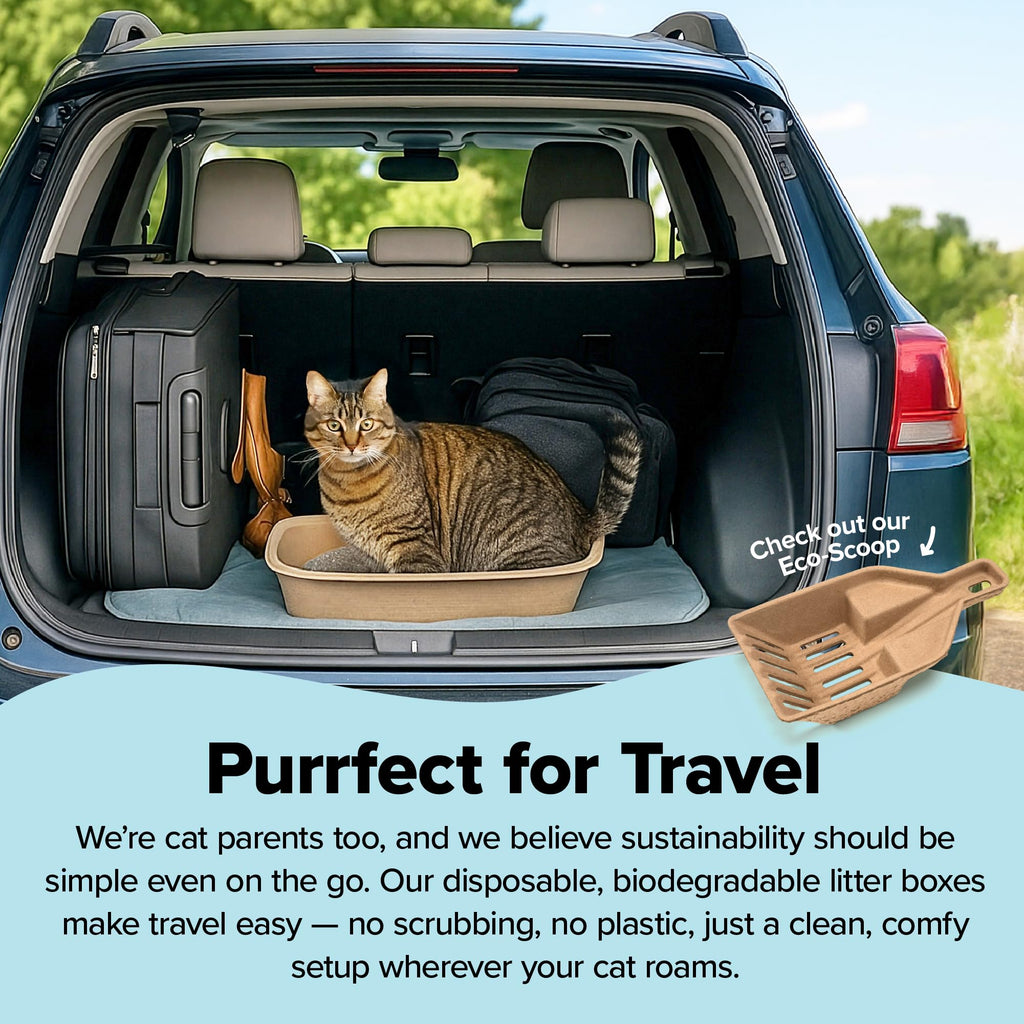 Large 6 Count Disposable Cat Litter Box I72147