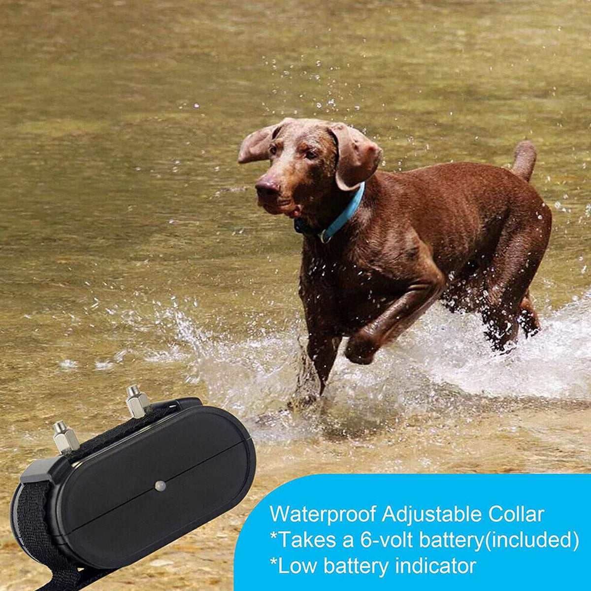 Electronic Dog Fence & Training Collar, 1/2 Acre Waterproof X5807