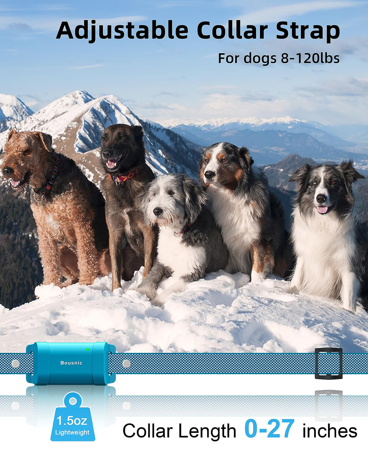 Waterproof Dog Training Collar with Remote P926527