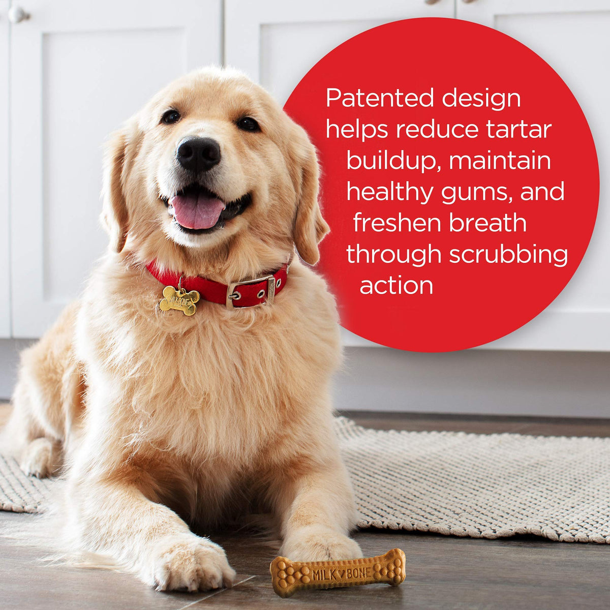 Large Daily Dental Dog Treats W156