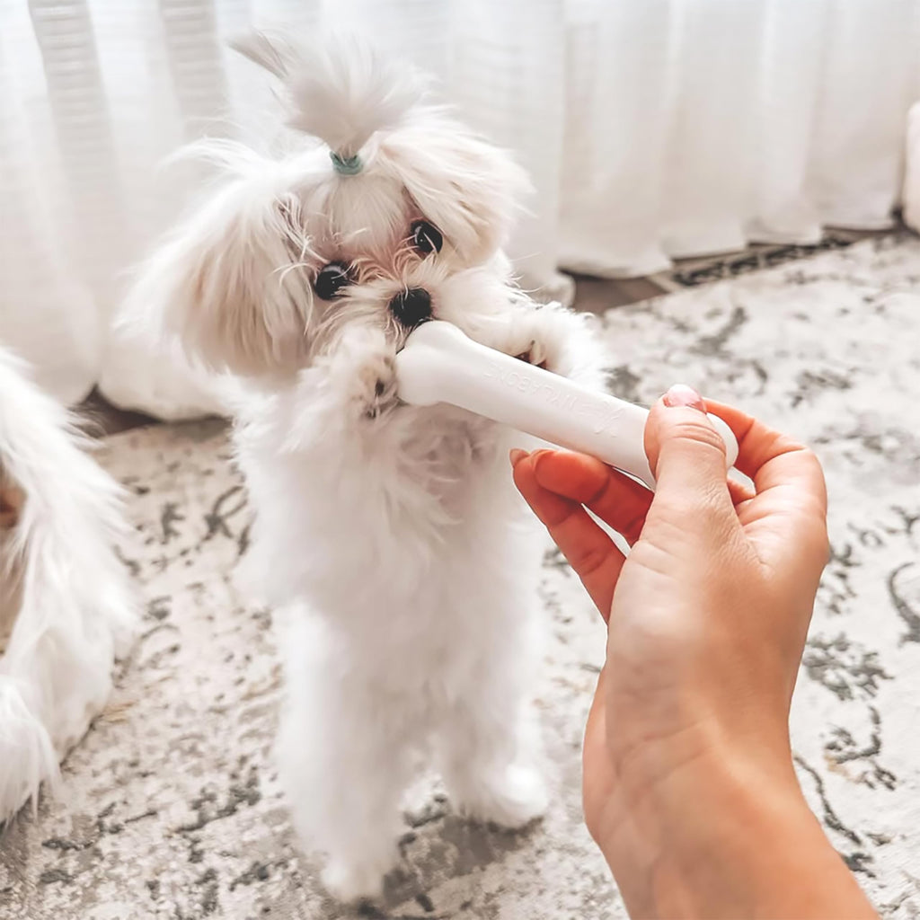 Puppy Teething Toys 3 Pack X6111