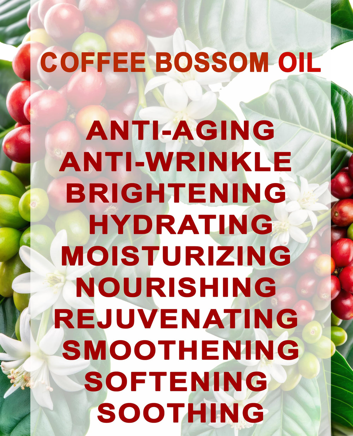 100% Natural Coffee Blossom Oil 1 Fl.oz. S15034