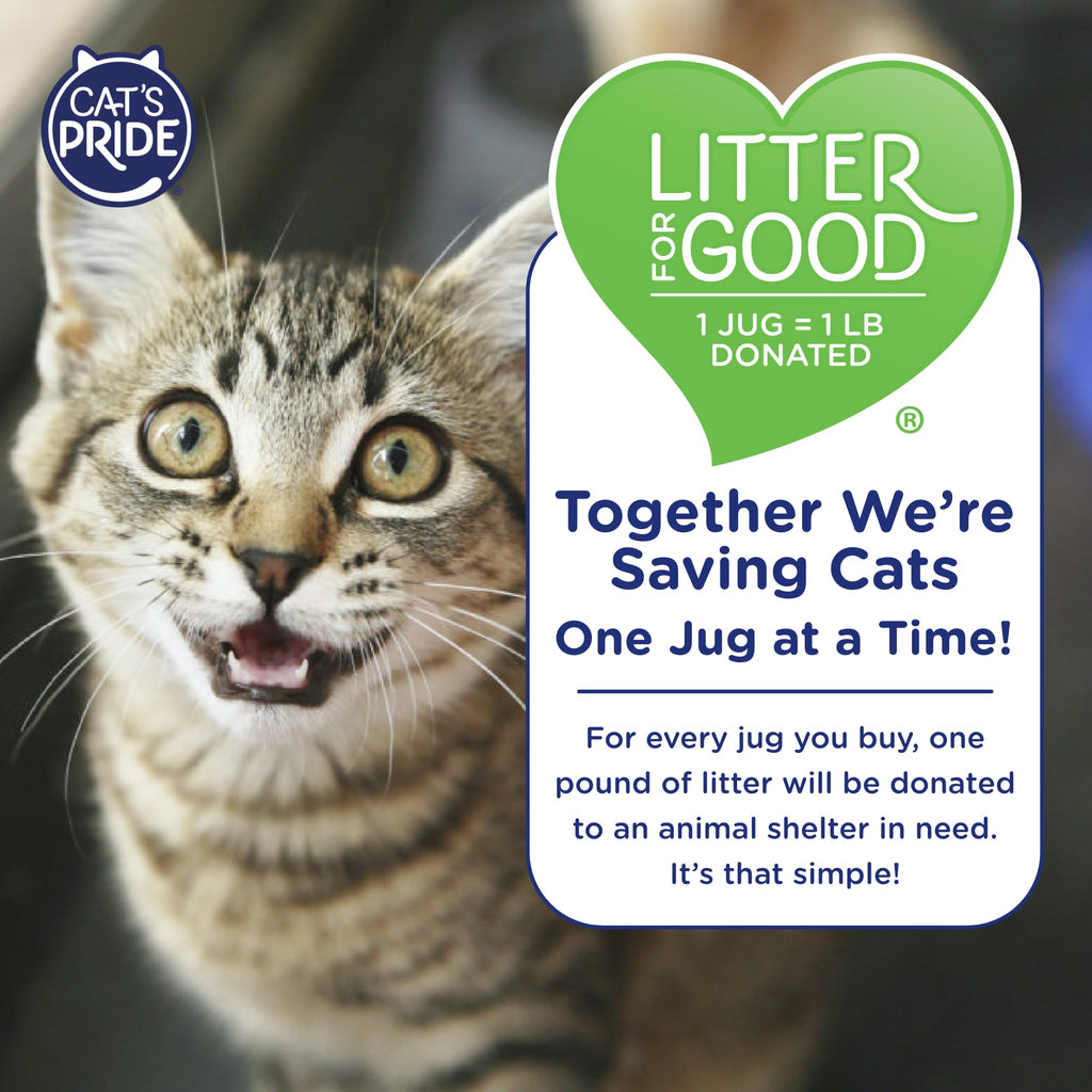 Antibacterial Odor-Eliminating Scented Cat Litter 12lb G480490