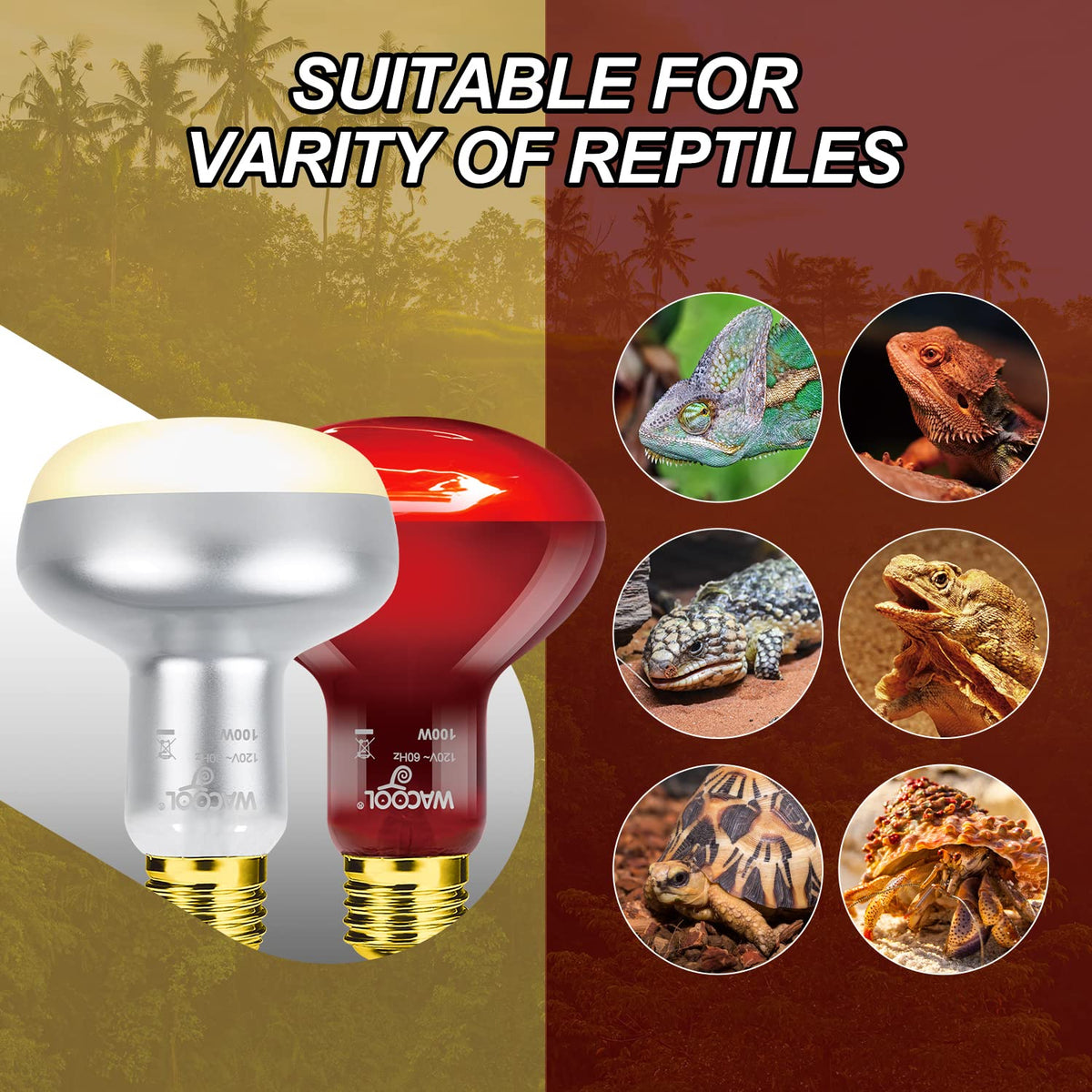 4 Pack Reptile Heat Lamp Day & Night Kit 100W K331
