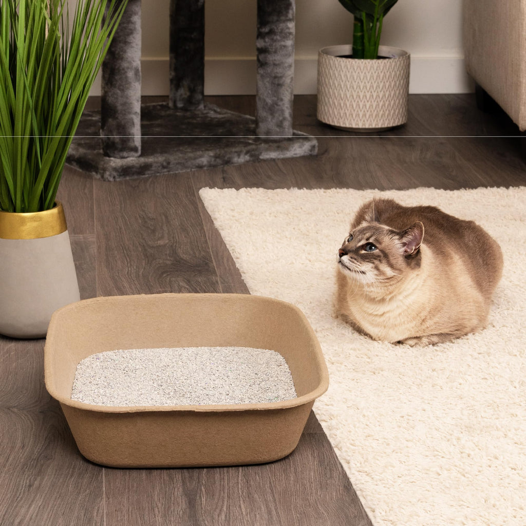 Large 6 Count Disposable Cat Litter Box I72147