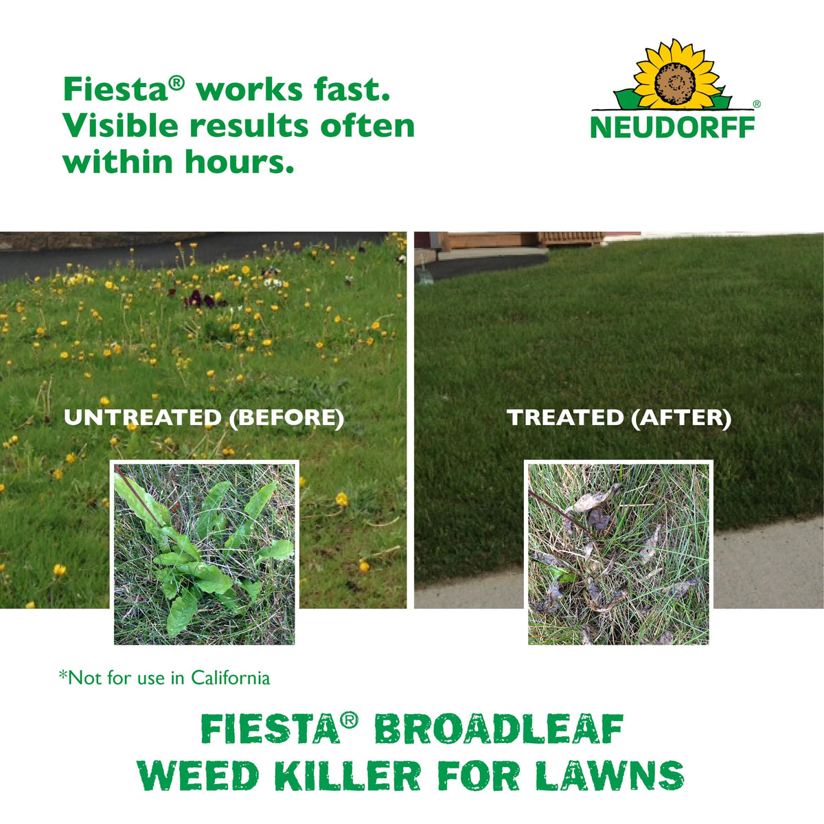 Turf Weed Killer Herbicide Concentrate One Gallon E54225