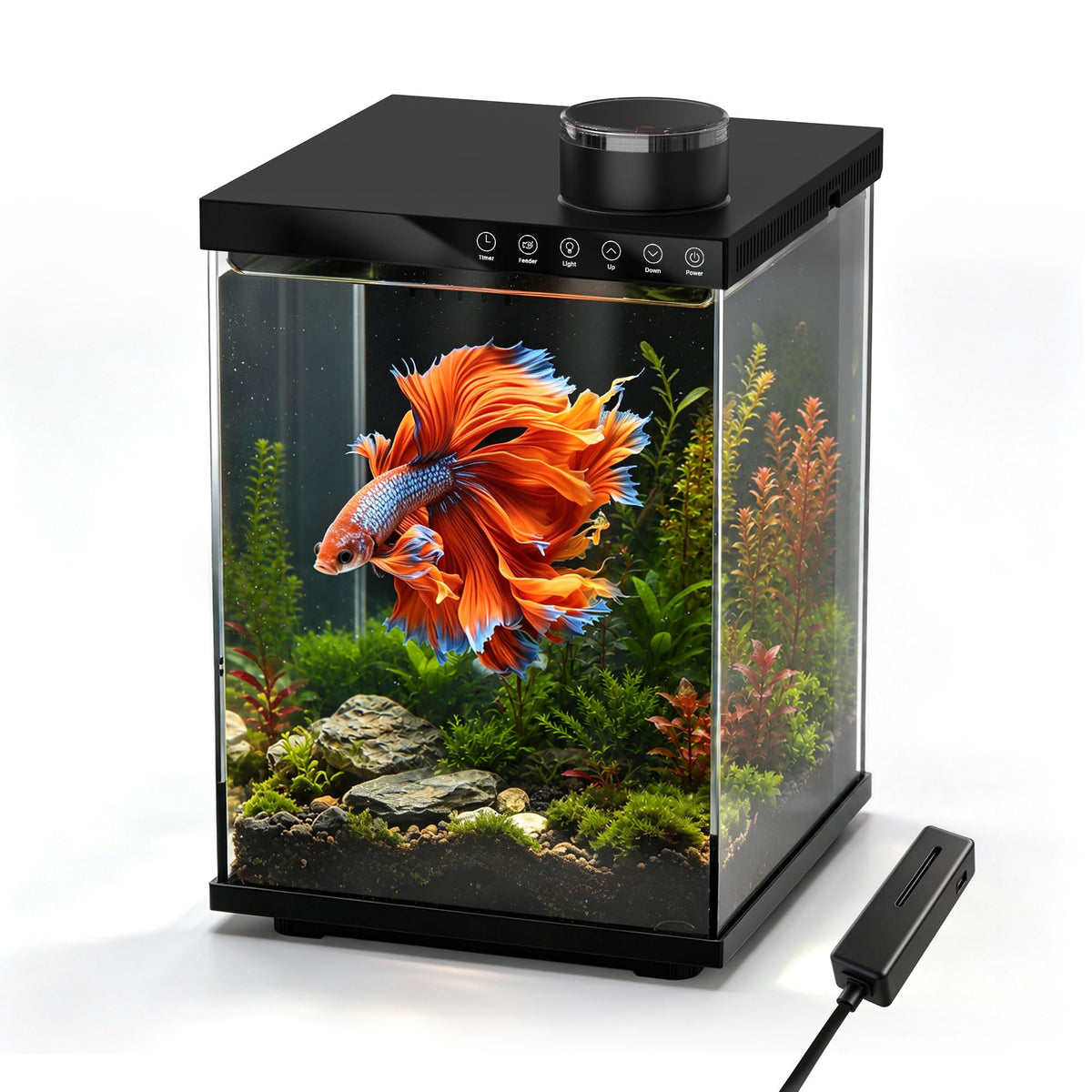 4 Gallon Ultra-Clear Glass Aquarium Kit with Auto Feeder B5728