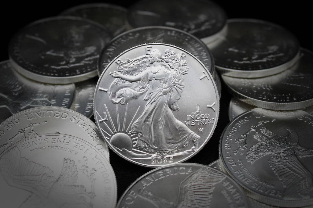 10 1 oz American Silver Eagle Coin A5931