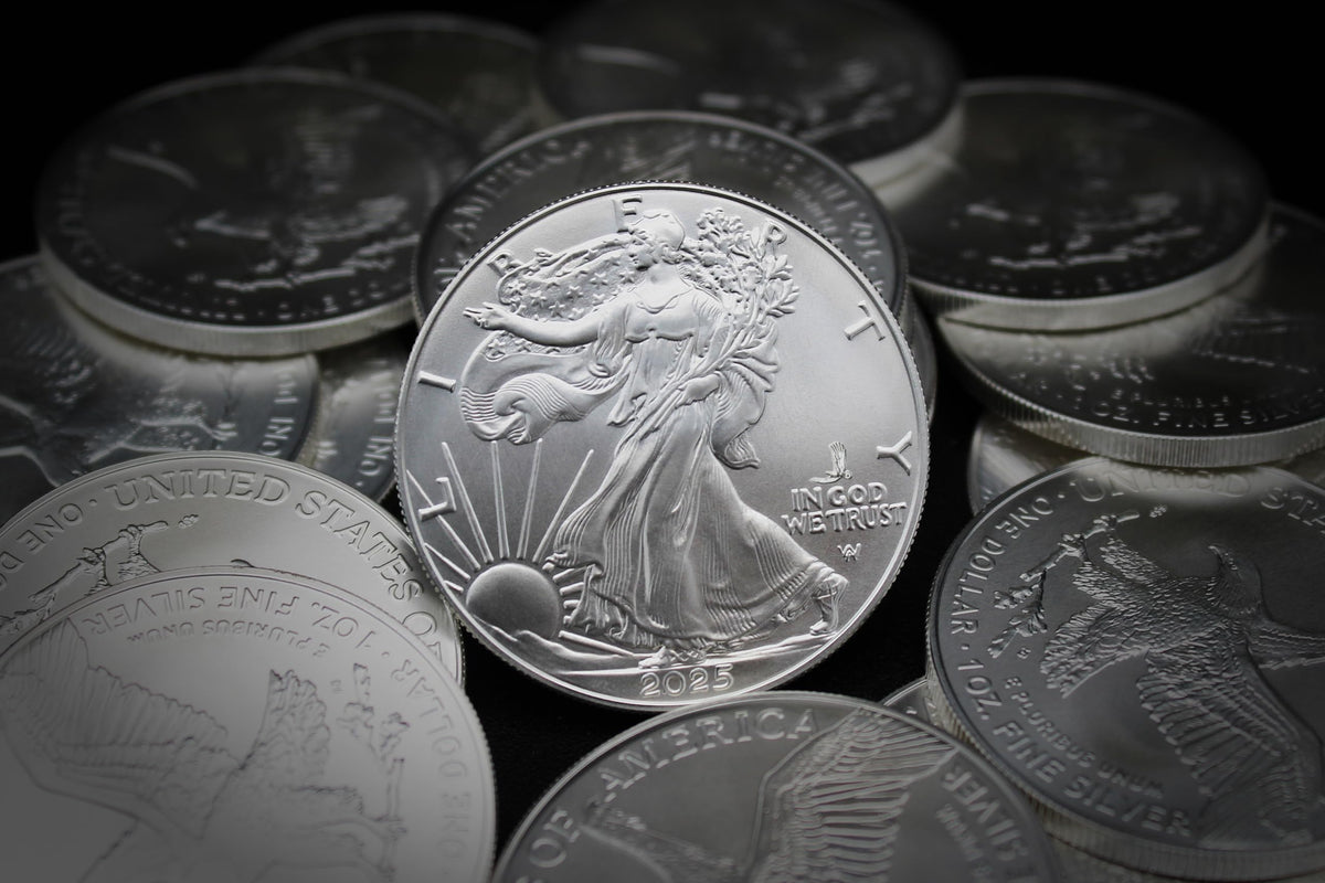 10 1 oz American Silver Eagle Coin A5931