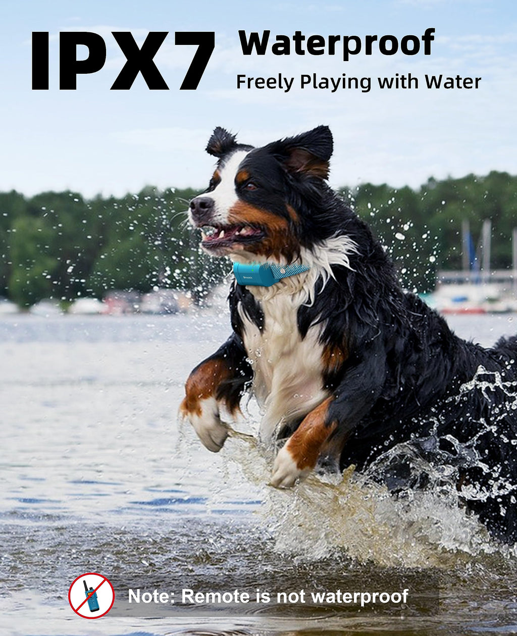 Waterproof Dog Training Collar with Remote P926527