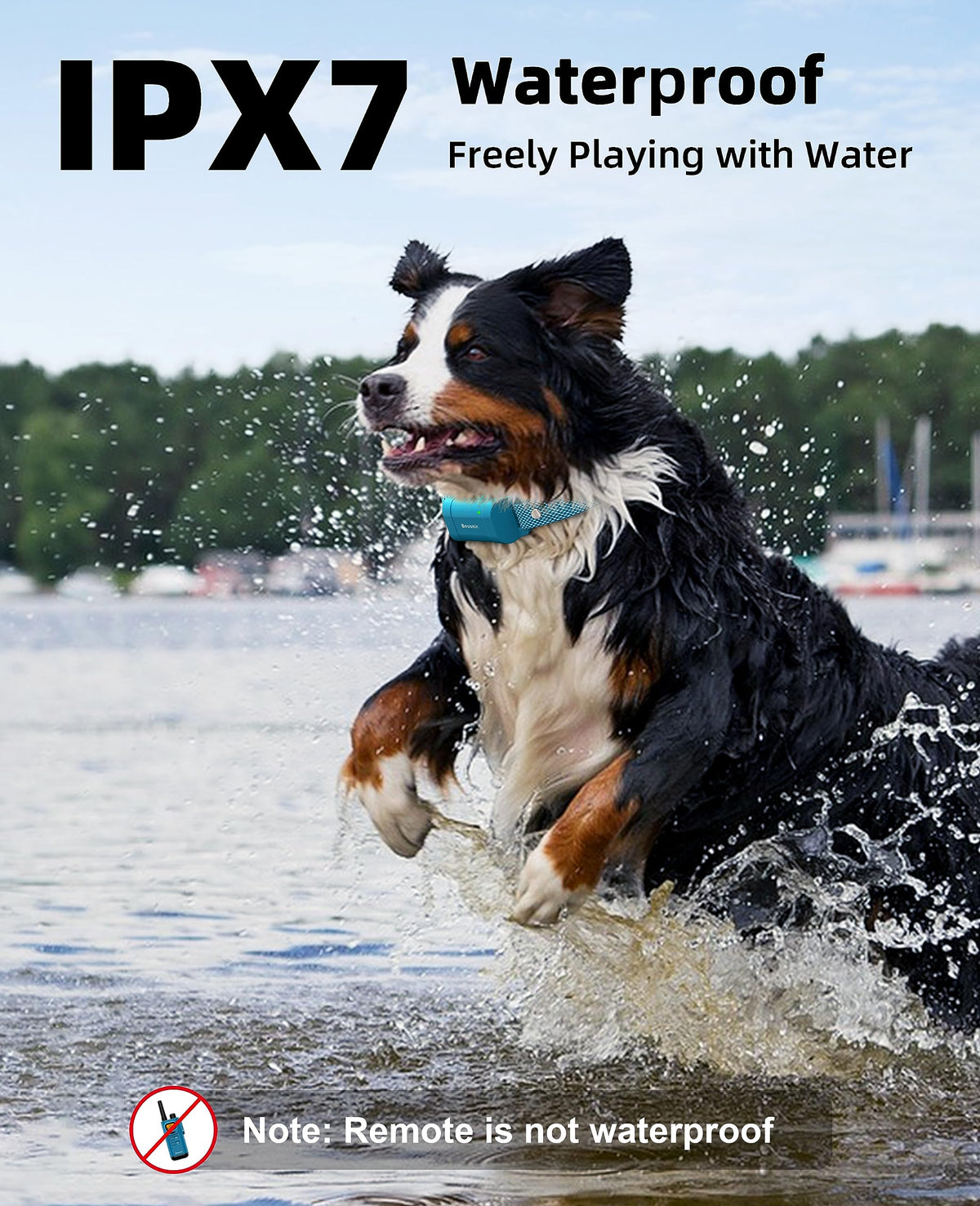Waterproof Dog Training Collar with Remote P926527