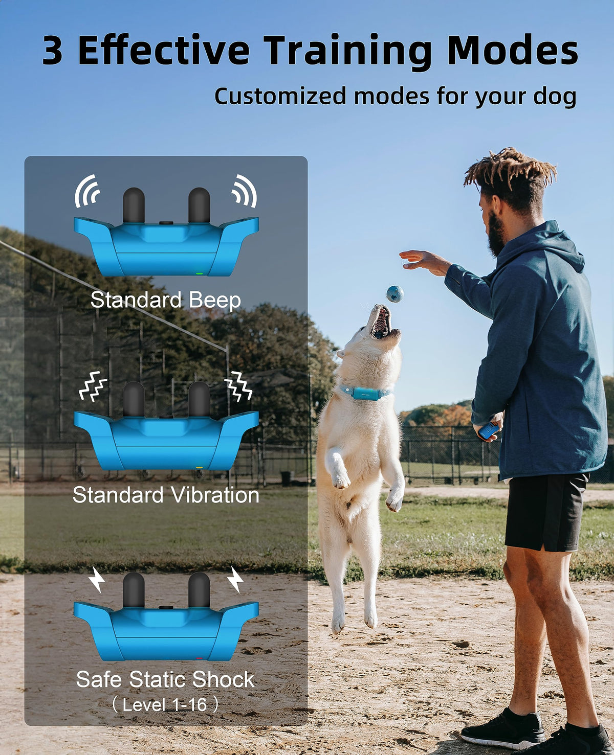 Waterproof Dog Training Collar with Remote P926527