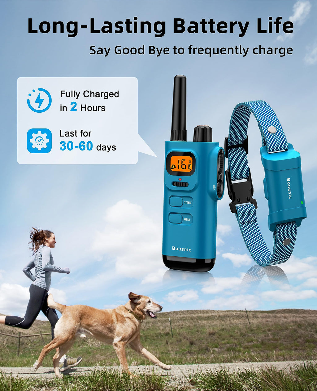 Waterproof Dog Training Collar with Remote P926527